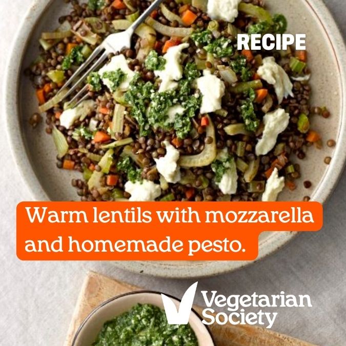 Try this warm #lentil salad #recipe. Lentils are a good source of zinc which helps to maintain a strong immune system. vegsoc.org/recipes/warm-l… #anythingispulseable