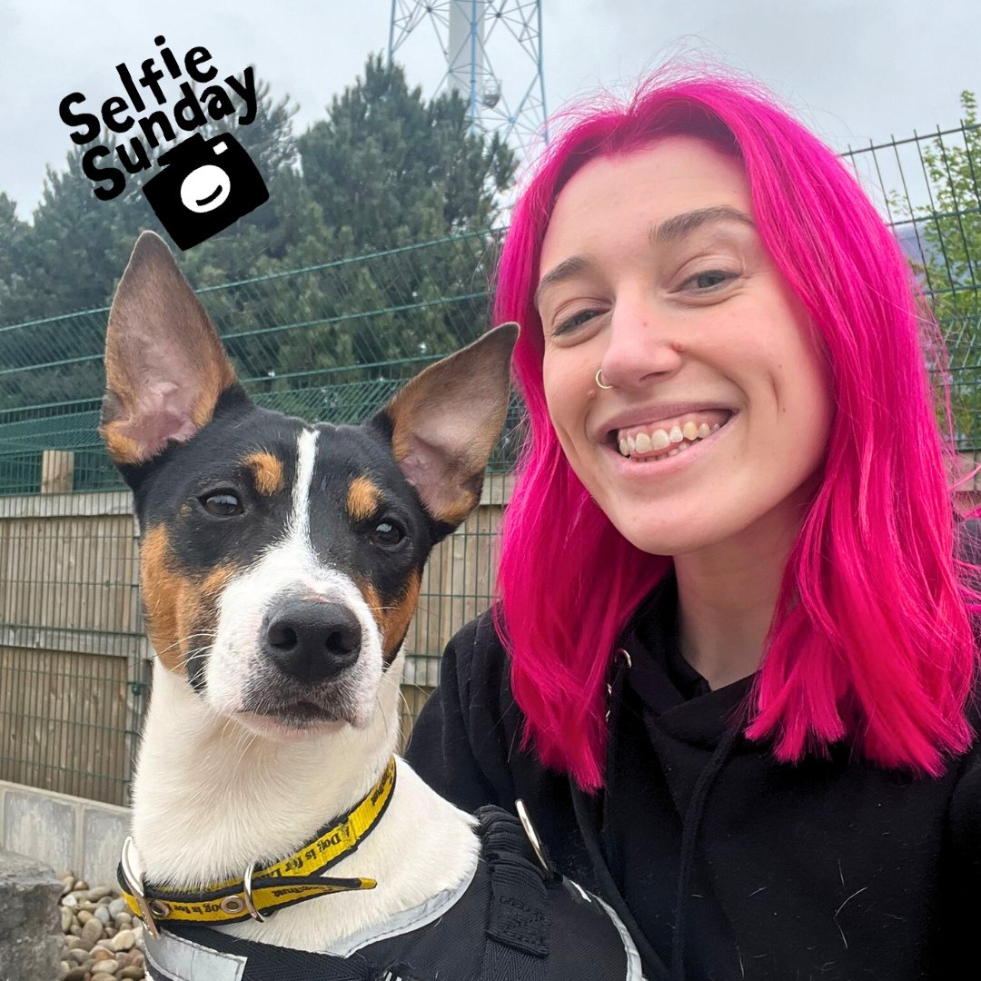 #SeflieSunday 🤳🏻 Perky Pedro and our incredible Volunteer Coordinator Tabitha took themselves off to a beach paddock, and after lots of cuddles and play, snapped this charming #selfie 😍 Pedro is available 💛 ⁣ #DogsTrustCardiff #Cardiff #Sunday #AdoptMe #JackRussellTerrier