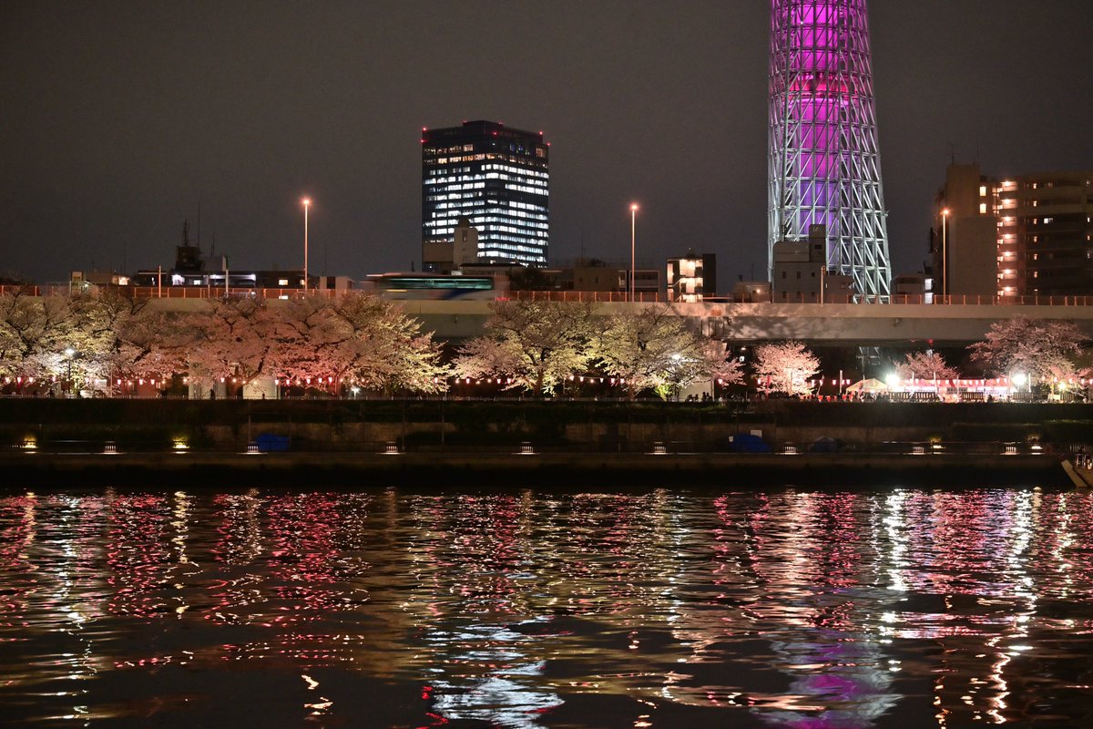 隅田川 墨堤の夜桜🌸 10
インスタは→ @kohi5180

#東京スカイツリー #夜スナ #桜 #夜桜 #夜景 #隅田川 #墨堤のさくら #向島 #東京 #東京カメラ部 #landscape #sakura #cherryblossom #nightshot #tokyoskytree #tokyo_night_view #discover #loves_nippon #light_nikon #nikoncreators #tokyotokyo