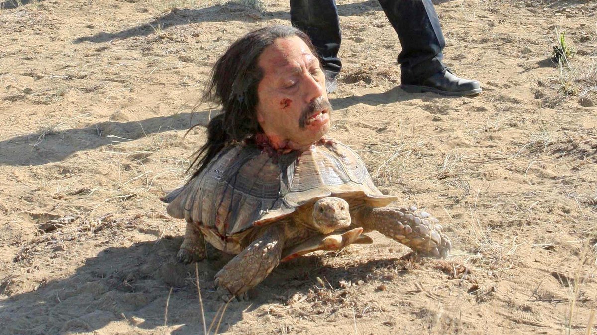 Hard-boiled birthday wishes to the baddest man in the whole damned town, Danny Trejo, 80 today!
'Any time people talk about what they've done in movies, I always just kinda say, 'Yeah, but did your head crawl across the desert on a tortoise?''