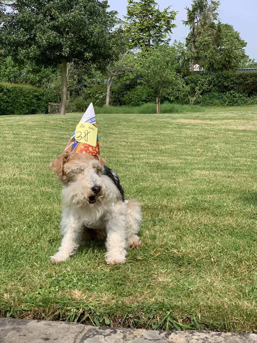 PALS PALS! Yes it’s the day of the year! It is mah official birfday 🎉🥳 Ah am 3 🎂! Here ah am in mah stupid hat 😤 pretending that ah’m thrilled about it. The good news is that you can have your own ‘Birthday Dog’ linoprint which is now for sale at thebadgersettstudio.co.uk