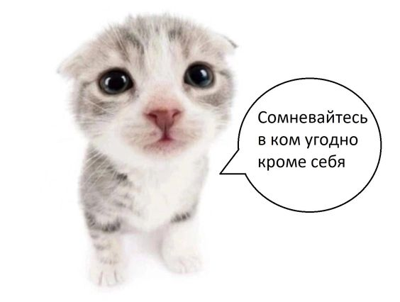 Важное напоминание