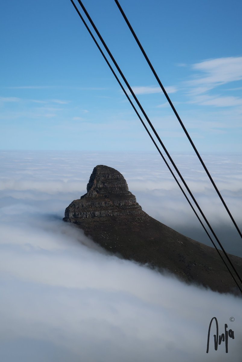 Lion's Head in the mist. From the cable car going up Table Mountain in Cape Town. #photography #nature #outdoors #streetphotography #citylife #cityscape #TableMountain #LionsHead #CapeTown #SouthAfrica Happy mother's day 💐