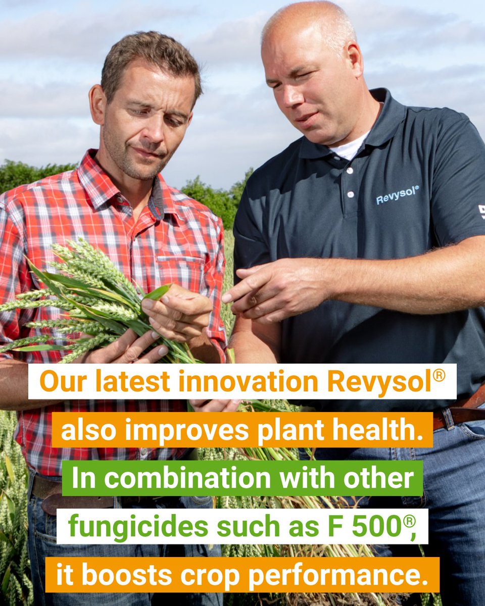 🌿🌍 Happy International Plant Health Day!

Did you know that the use of fungicides can result in up to a 30% increase in crop yield and additional plant health effects?

Swipe left to learn more find out more about #PlantHealth and #Fungicides ! #PlantHealthDay #AgInnovation