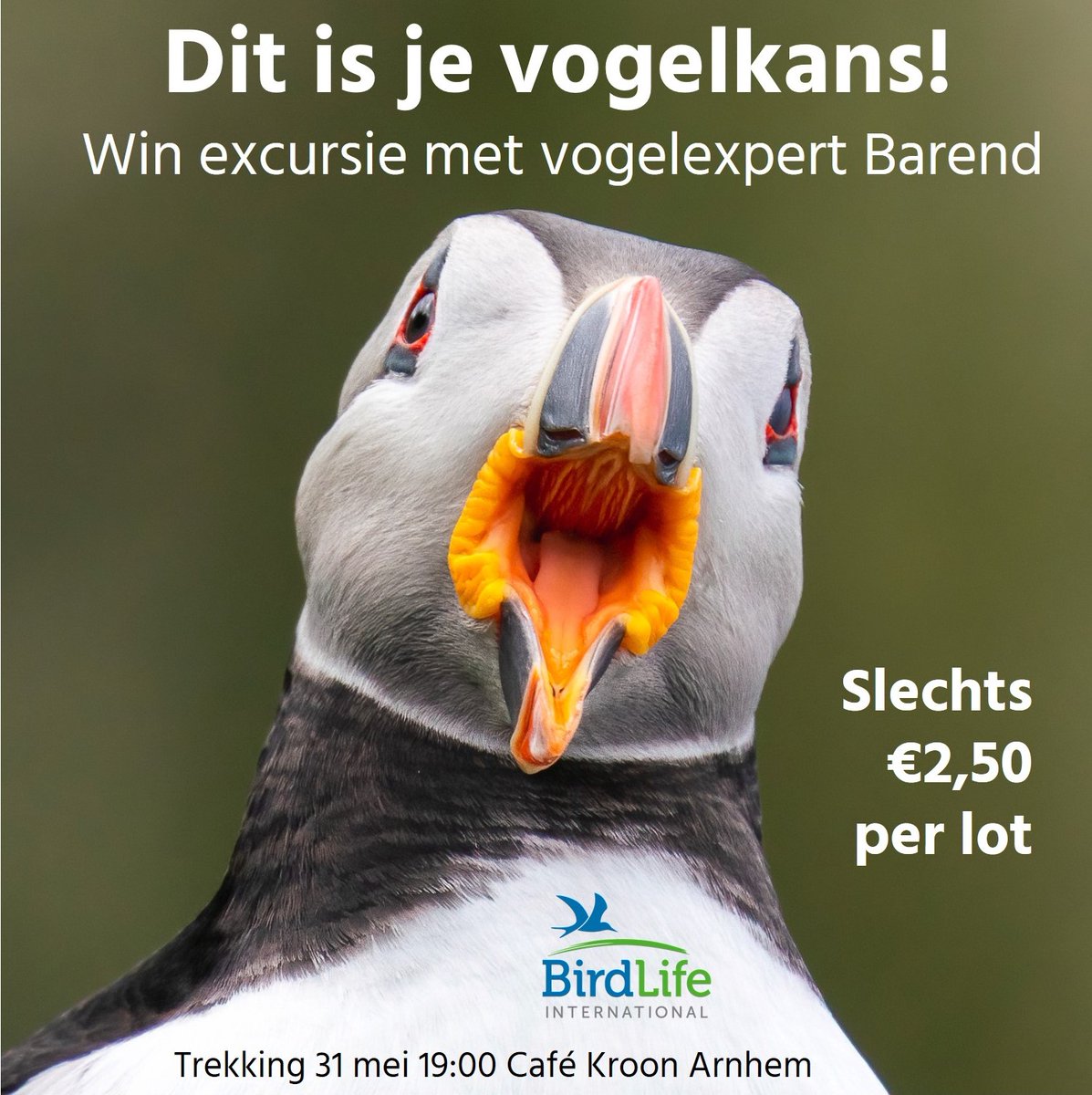 Mooie actie van collega Barend van Gemerden! Koop een lot en maak kans op een vogelexcursie met Barend voor max. 6 personen. De opbrengst is voor BirdLife. Het vogelplezier is voor jou. Stuur 'n Whatsappje op 06-22145857 en je krijgt een betaalverzoek. Elk lot is €2,50.