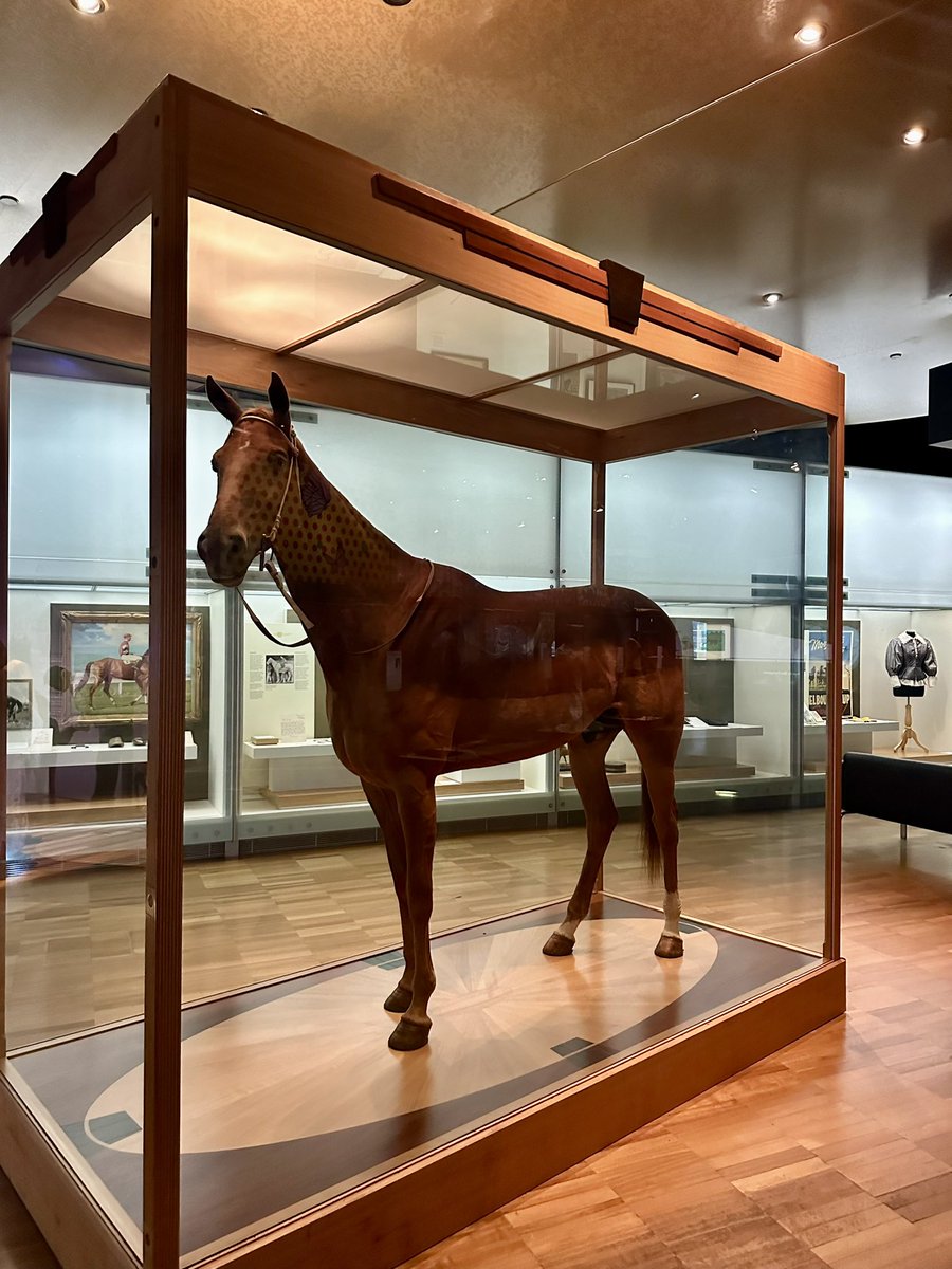 Went and said hello to Phar Lap today at @melbournemuseum 👋 warmed my heart to see a young girl not wanting to leave and telling her mum all about Phar Lap. That’s what racing is about.