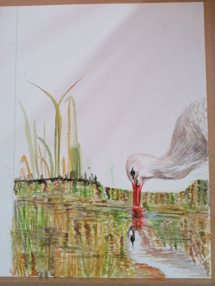 My new artwork, by watercolors, I am working on it, this artwork will complete my colorspencils stork artwork
As soon on @OmniFlixNetwork
#nftfarnazpishro
@FlixFanatics
Visite my colorspencils stork that I will completed by this artwork :
LINK : 
app.omniflix.studio/library/onftde…