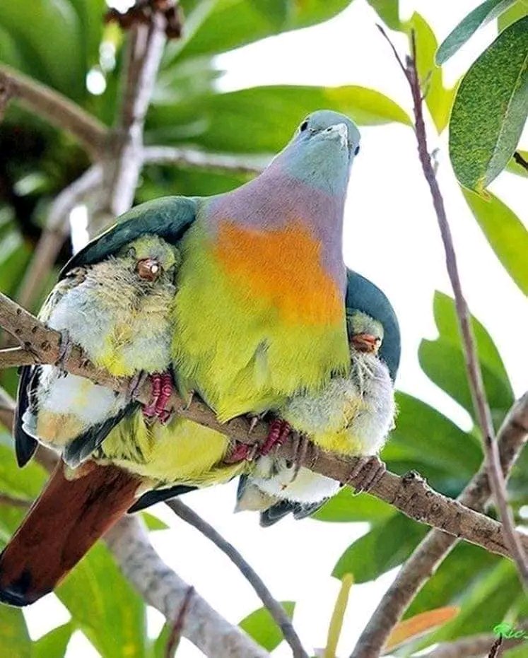 God bless And Reward All Our Mothers... #HappyMothersDay

#MothersDay #HappySunday