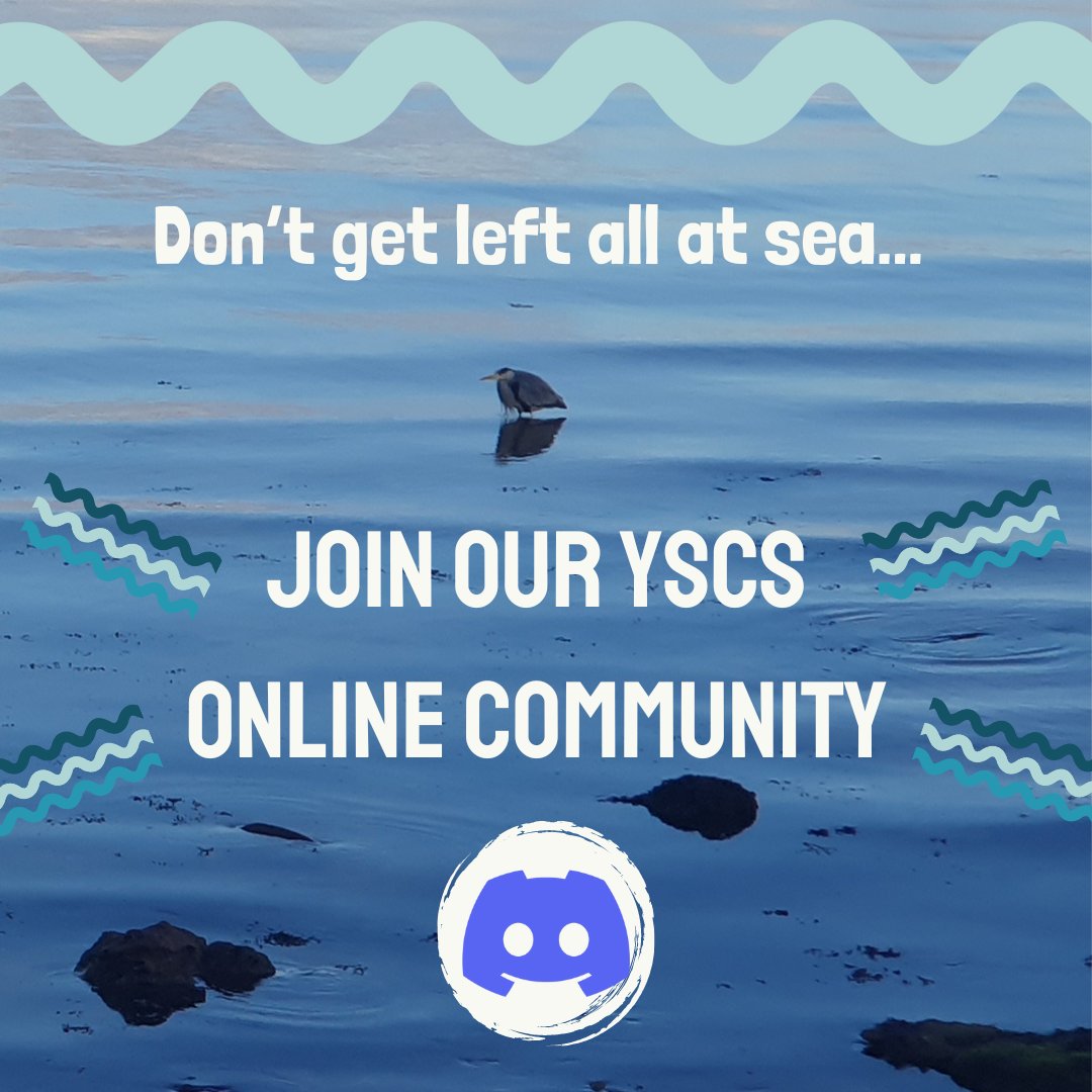 Speaking up for our seas can seem daunting, esp if you're a young person. At @youth4seas we're building a community of 16-25 y/o in Scotland who share a passion & commitment to make change. Join us & share with others who might not know about us yet 👉 bit.ly/yscs-online