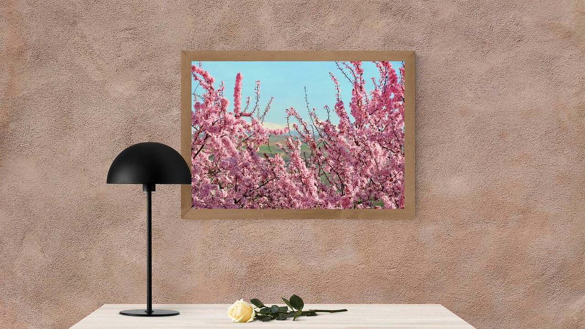 Buy Printable Poster  #cherry #cherryblossom #blossom #japan #photo #findyourthing #giftideas #gifts #BuyIntoArt #ArtistsOnTwitter #print #printmaking #poster #homedecor  #illustration #posterdesign #WallArt #printable 

⬇️ ⬇️ LINK ⬇️ ⬇️
sarahsophie3000.gumroad.com/l/cherry