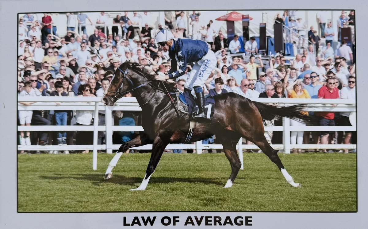 Law of average winning decisively yesterday at Lingfield on Derby and oaks trial day 🥰🏆🥇🥰 #winner #winning #fast #racehorse #sprinter #horseracing #racing #equine #equinelife #teamwork #getinvolved #sprintking #thoroughbred #followus