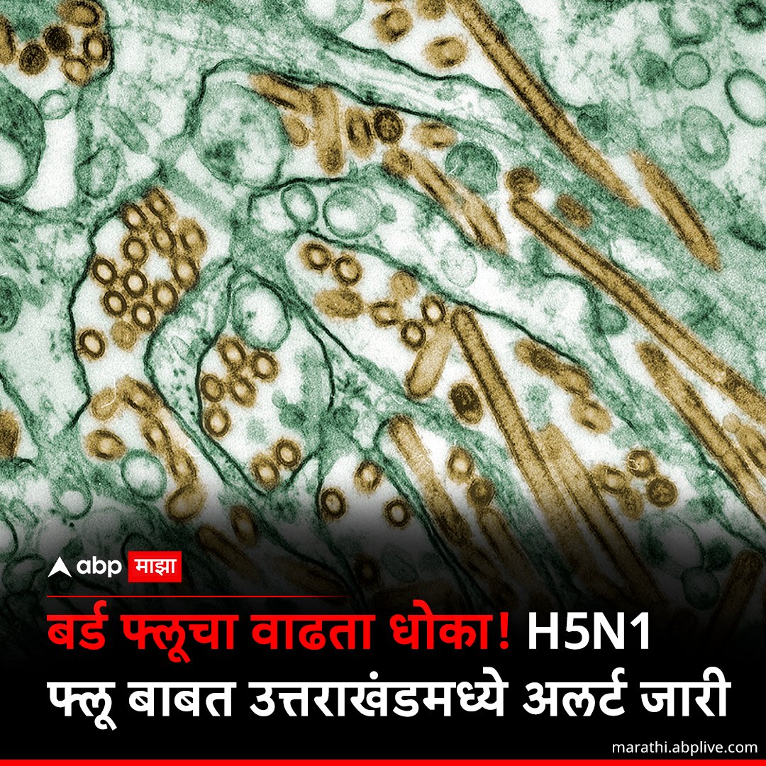 #H5N1 फ्लू बाबत उत्तराखंडमध्ये अलर्ट जारी करण्यात आला आहे. केरळमध्येही हा व्हायरस वेगाने पसरत आहे. 
marathi.abplive.com/lifestyle/h5n1…
#AvianInfluenza #ABPMajha