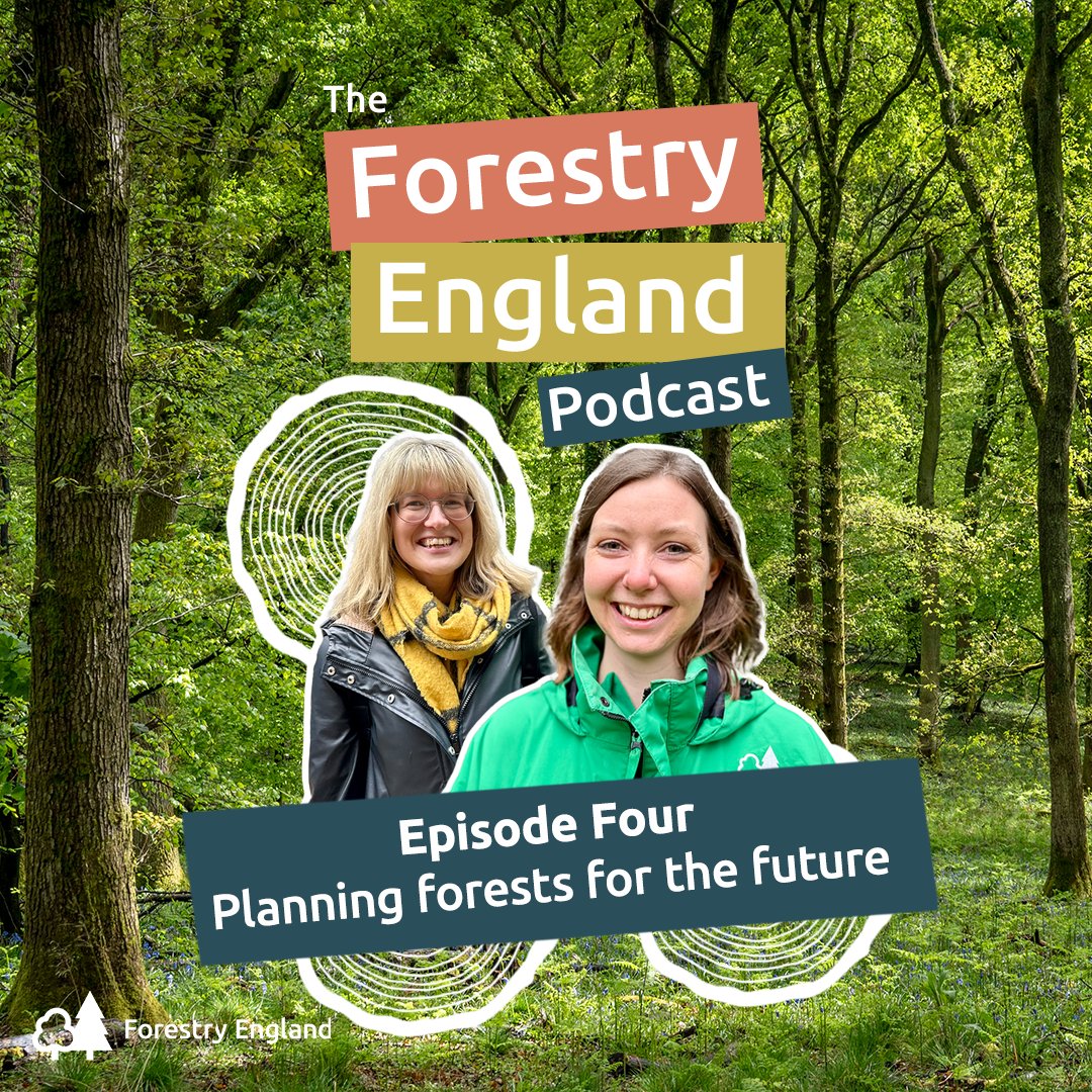 This International Day of Plant Health, hear how we’re tackling the challenges facing forests in Episode Four of our podcast 🌱 Listen now 👉 forestryeng.land/the-podcast