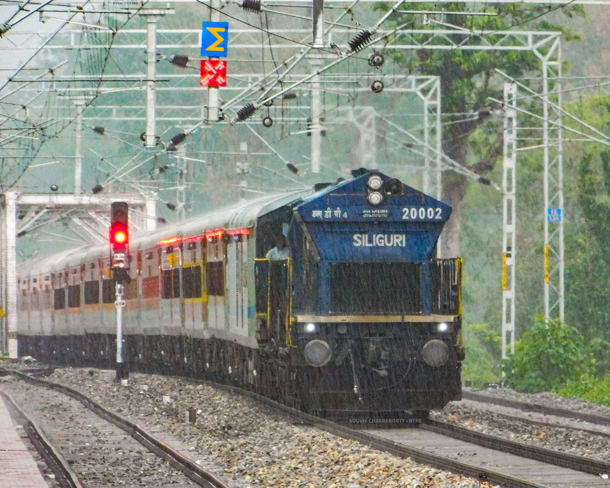 Train in Rain Palindrome number Siliguri WDP4 #20002 with 13247 Kamakhya - Rajendra Nagar Terminal Capital Express coming out from Mahananda Wildlife Sanctuary & skips Gulma @RailNf @drm_apdj @RailMinIndia @AshwiniVaishnaw #NFRailEnthusiasts #indianrailways