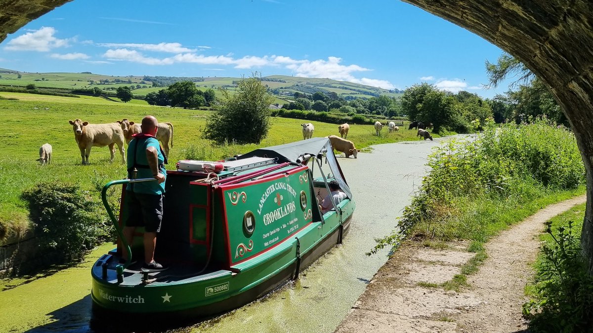 The canal boat Waterwitch is once again offering 40 minute trips on Sundays and Bank Holiday Mondays from Crooklands (J36 of M6) #Cumbria. £4 adults, £1 kids, dogs free. See lctrust.co.uk/trip-boat/