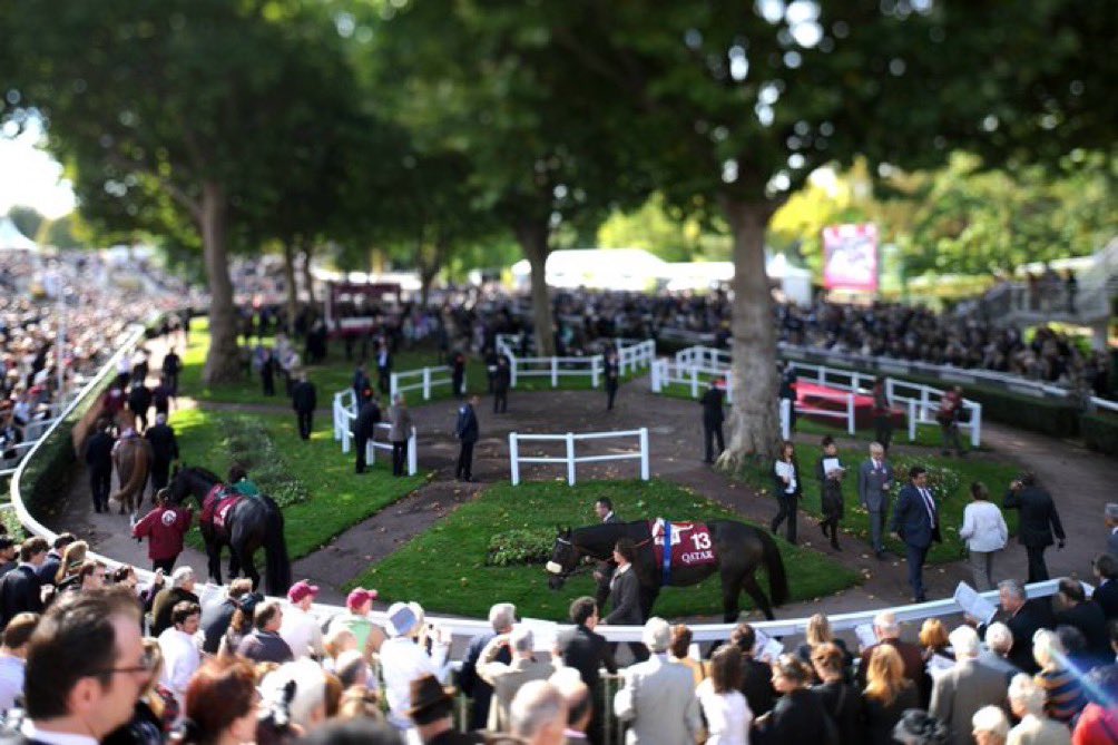 🏇 | TODAY’S ACTION 🇫🇷 PARISLONGCHAMP (12.23pm) 🇮🇪 KILLARNEY (1.00pm) 🇮🇪 LEOPARDSTOWN (1.15pm) 🇬🇧 LUDLOW (1.43pm) 🇬🇧 PLUMPTON (2.05pm) 🇬🇧 NEWCASTLE (3.07pm) ⭐ BET NOW: starsports.bet/sport/horserac… ☎ 08000 521 321 🔞 18+ | BeGambleAware.org