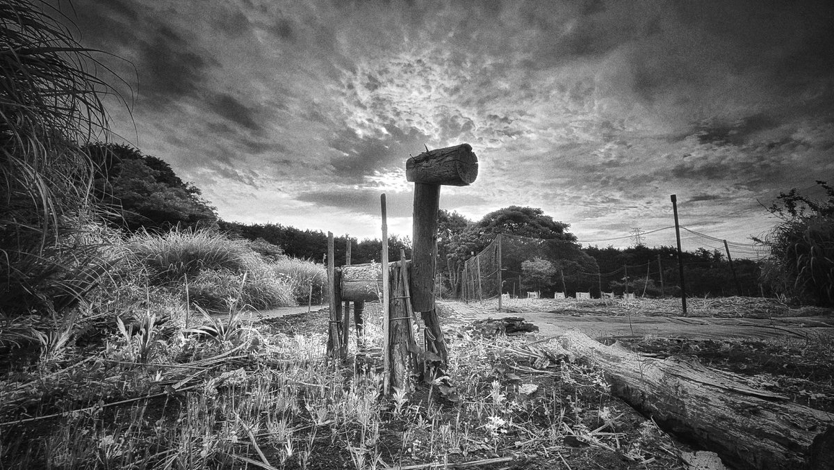 There is a wooden horse in one corner of the field. What is it there for? Is it a child's toy?