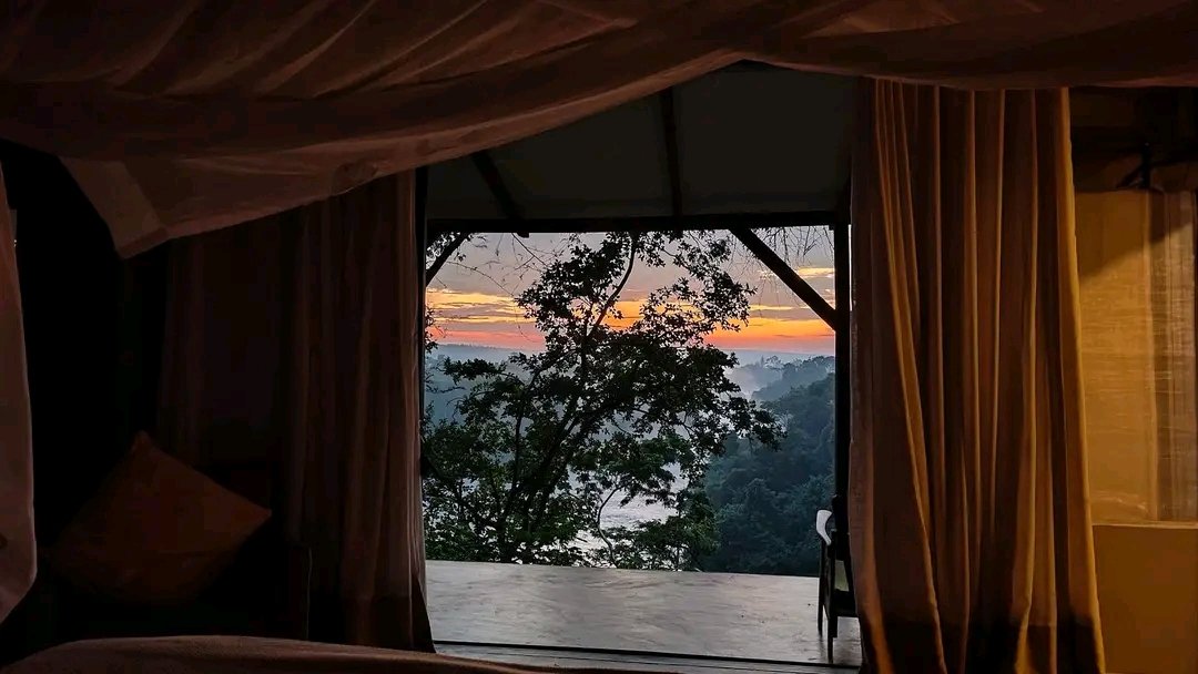 Did you know🤔

It's often said that an African🙃 sunset🌄 is unbeatable, but we believe the mesmerising sunrise🌅 will give you an unforgettable experience once viewed.

So go a mile and plan for your desired holiday in Uganda🇺🇬
#ExploreUganda #POATE2024 
#RESPONSIBLETRAVEL
