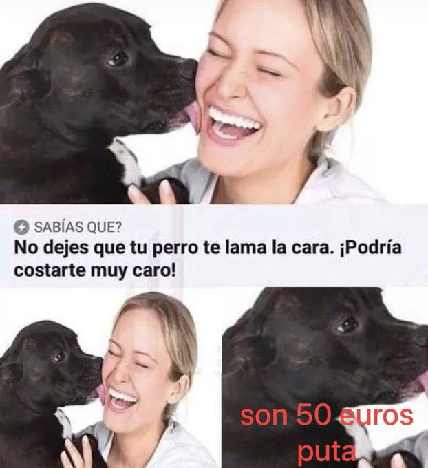 euskal herria fumar (@euskadifumar) on Twitter photo 