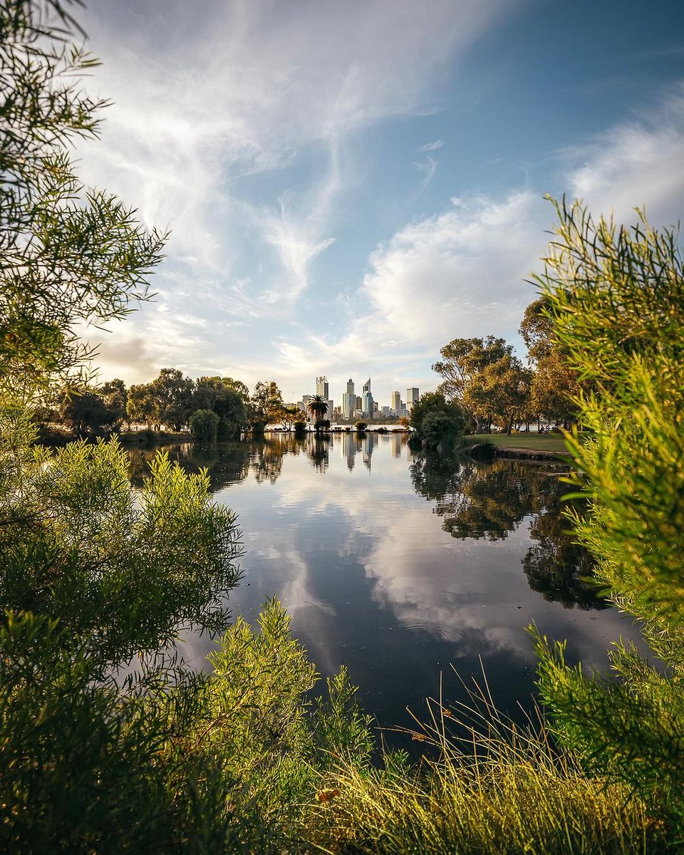 South Perth Foreshore: your front-row seat to the unbeatable skyline of Perth (Boorloo), mirrored on the waters of the serene Swan River (Derbarl Yerrigan). 🏙️ 🌳Get dreaming: bit.ly/4bdghK3 📍: South Perth Foreshore | @DestPerth 📸: @cjmaddock/IG in #WAtheDreamState