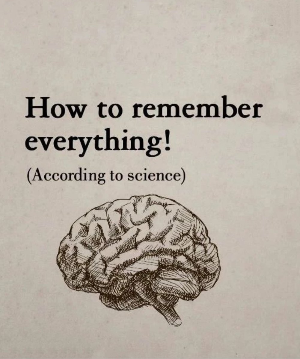 HOW TO REMEMBER EVERYTHING (According to science)