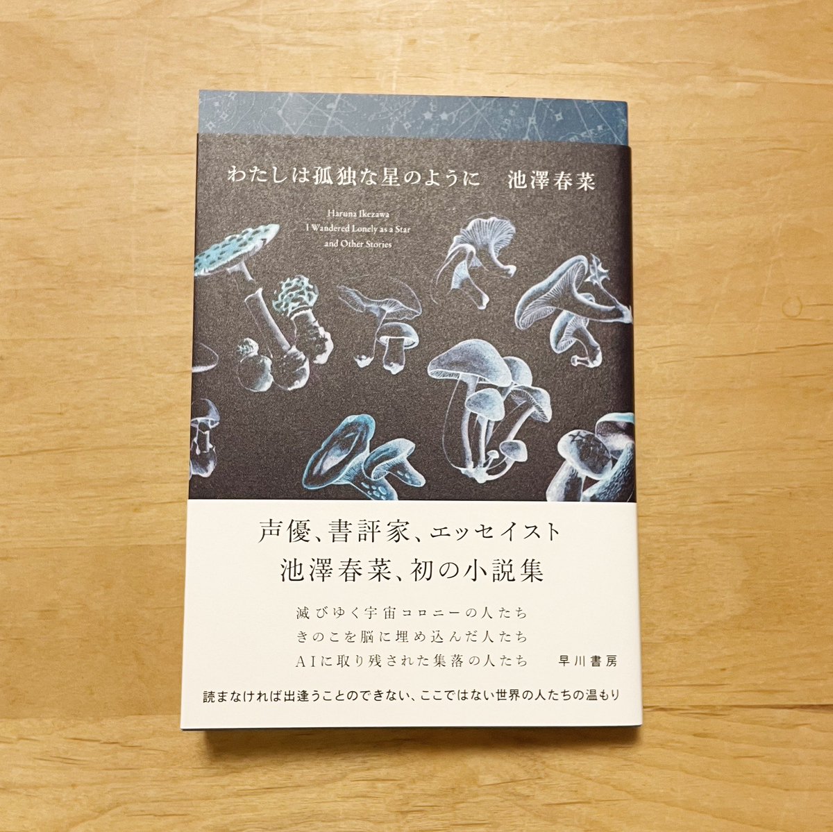 大変に美しい本が届きました。 大事に、まずはズバッと一気読みしたいと思います。 「わたしは孤独な星のように」池澤春菜