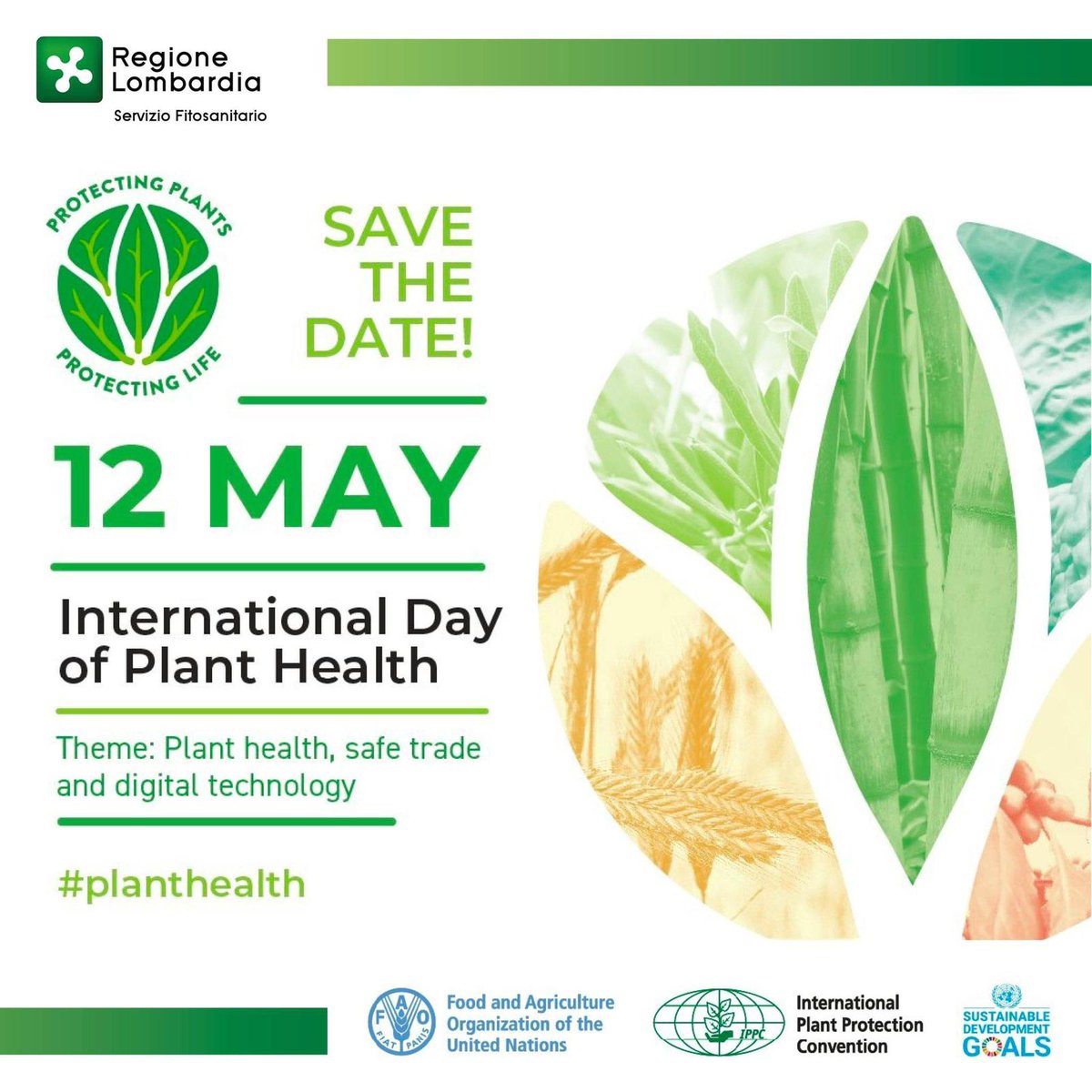 pestsurvey's tweet photo. Oggi è la Giornata Internazionale della salute delle piante 🌿🕊️
In Lombardia nel 2023 per proteggere le piante abbiamo eseguito la sorveglianza specifica per 7️⃣3️⃣ organismi nocivi da quarantena, prelevato più di 600 campioni e controllato 314 siti trappola.
#PlantHealthDay 🌿🕊️ https://t.co/yFusPRGxdE