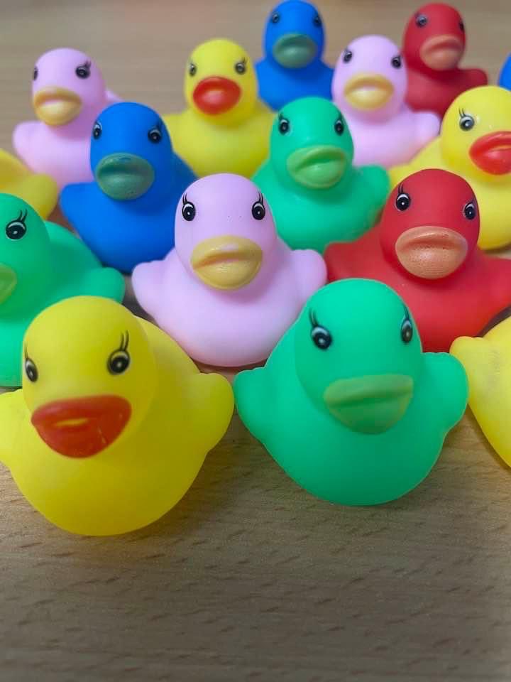 The ducks for my Year 13 tutor group and A level art students at school. Gave out last batch on Friday before I leave teaching at the end of the year. I went to Uni at Stoke where everyone is ‘duck’ so wishing them ‘good luck duck.’ ⁦@StokeCreates⁩ ⁦⁦@StaffsUni⁩