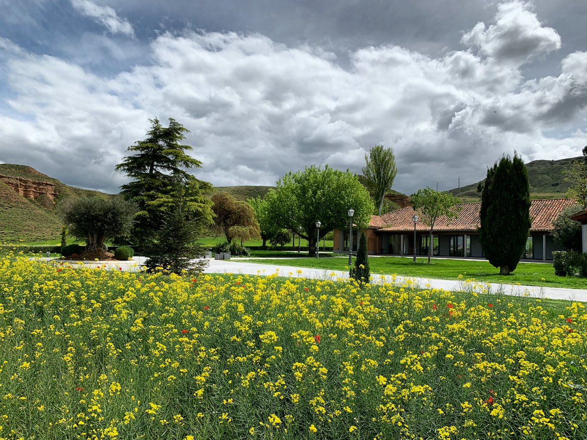 . . . #wedding #celebraciones #fiestas #bodas #gestiondeeventos #weddinginspiration #bodasperfectas #espaciosparaeventos #bodasenelcampo #bodasenmadrid #bodasperfectas #eljardindelavega #laquintadelhenares #elcasondelavega @lavegadelhenares