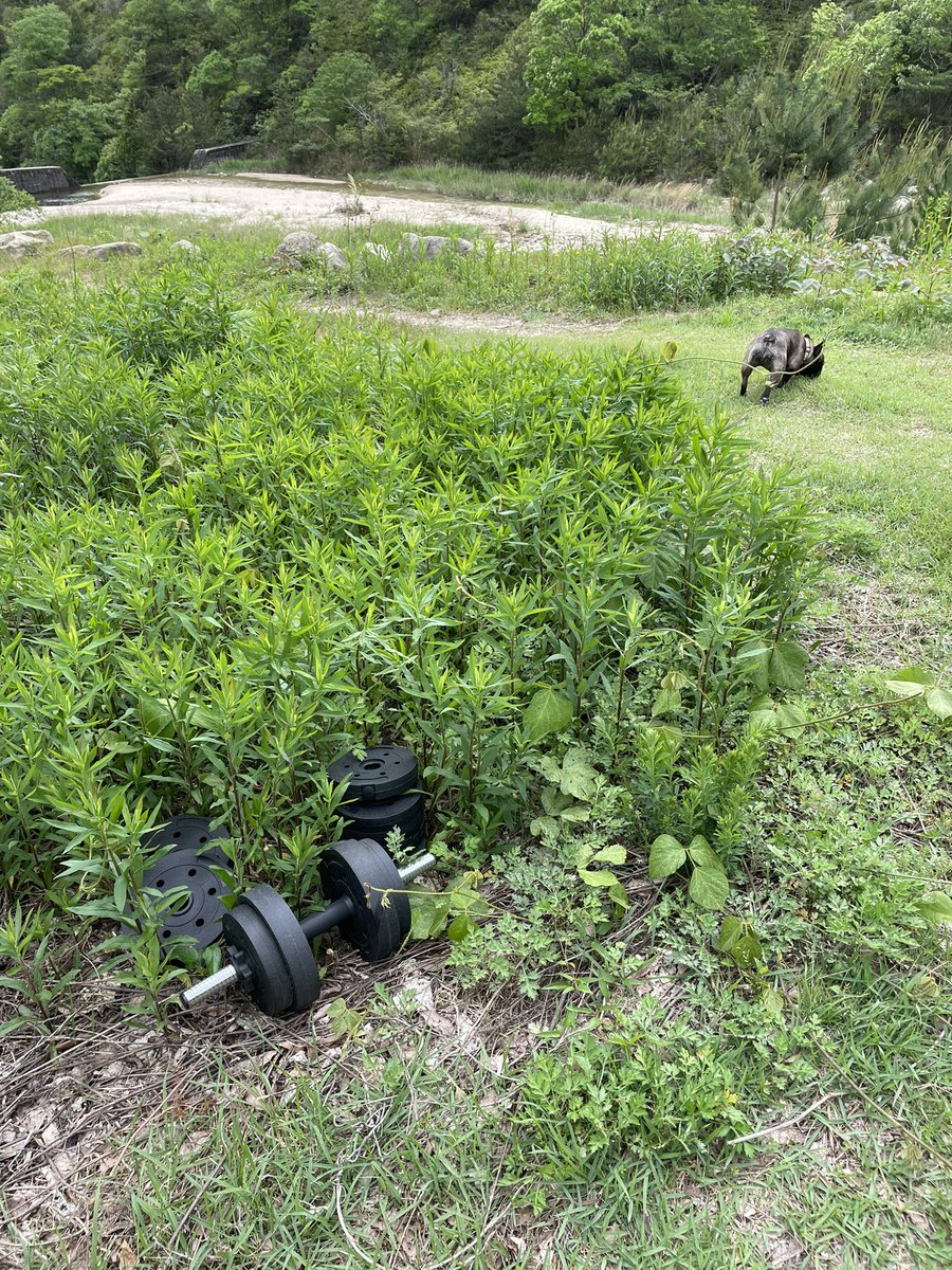 🚚leeee💨 tweet media