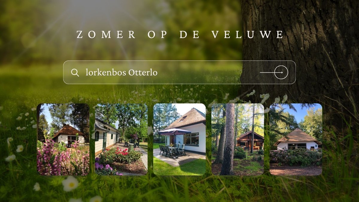 Wie zoekt nog een vakantiebungalow voor de zomer? Kies voor een van onze bungalows met privékeuken, knusse slaapkamers en huiselijke woonkamer. Geniet van faciliteiten zoals een zwembad, speelplaats en skelters. Reserveer jouw ideale zomervakantie en maak prachtige herinneringen.