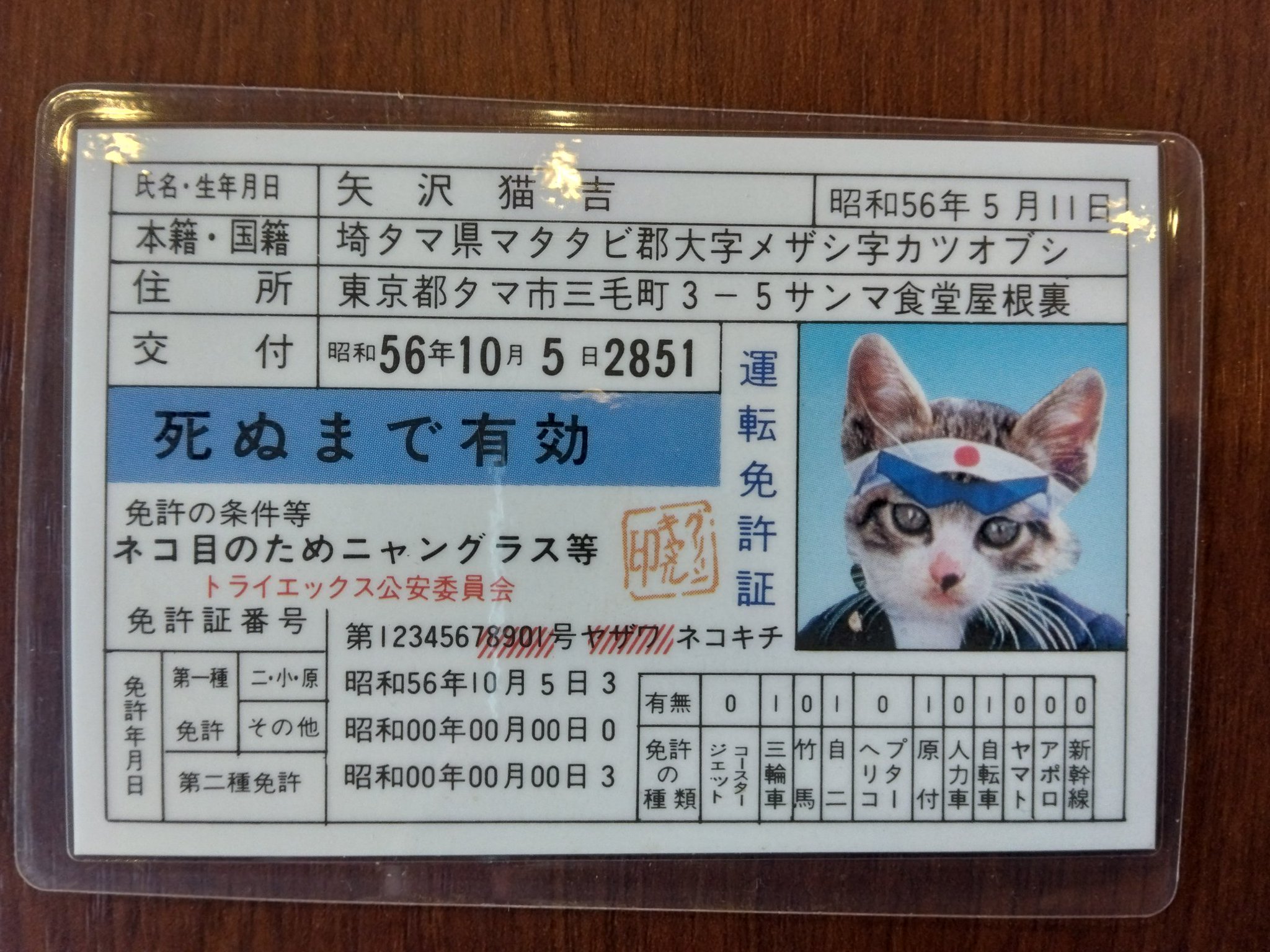 なめ猫 免許証 ゴールド なめ猫 免許証 25周年記念 限定 なめ猫 免許