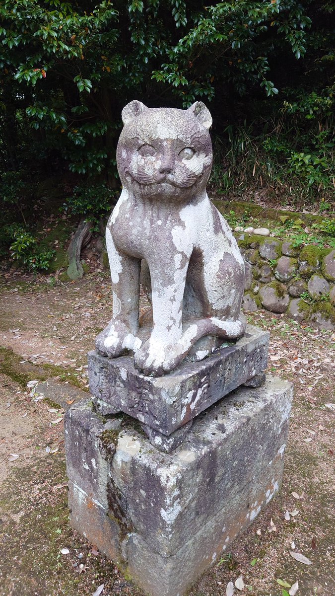 狛猫です。 京都府京丹後市峰山の金刀比羅神社境内摂社の木島神社の神前を護る一対の猫は、左側の母子猫が天保3年、右側の父猫が弘化3年の奉納で江戸時代のもの。京丹後は丹後ちりめんという織物が盛んで、絹糸を作る養蚕が盛んであったので、養蚕といえば猫と蛇が守護神であります。