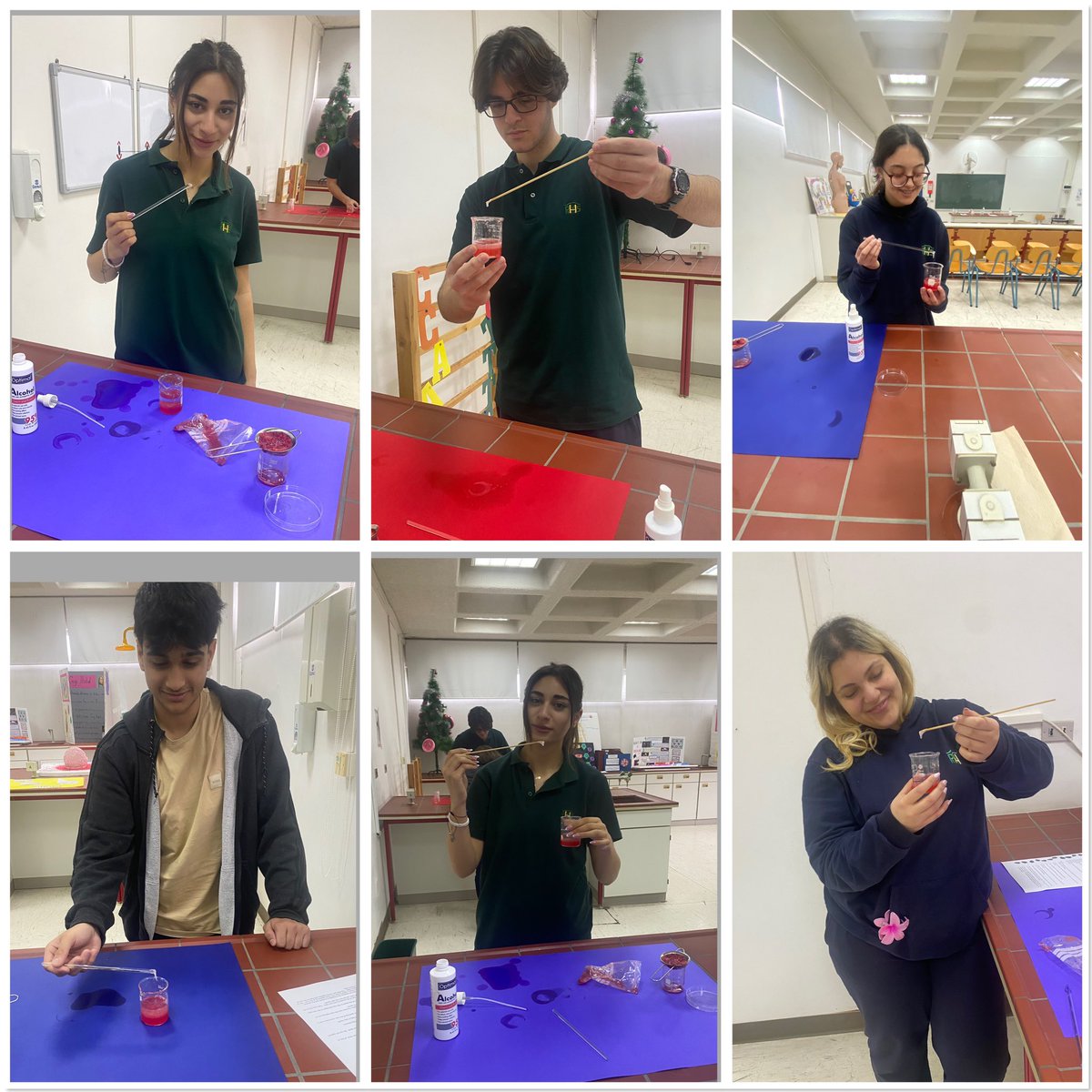 RHHS_BioDept's tweet photo. Enjoying the DNA extraction with the AP12 students @RHHS_Saida https://t.co/2pTbP9lkDh