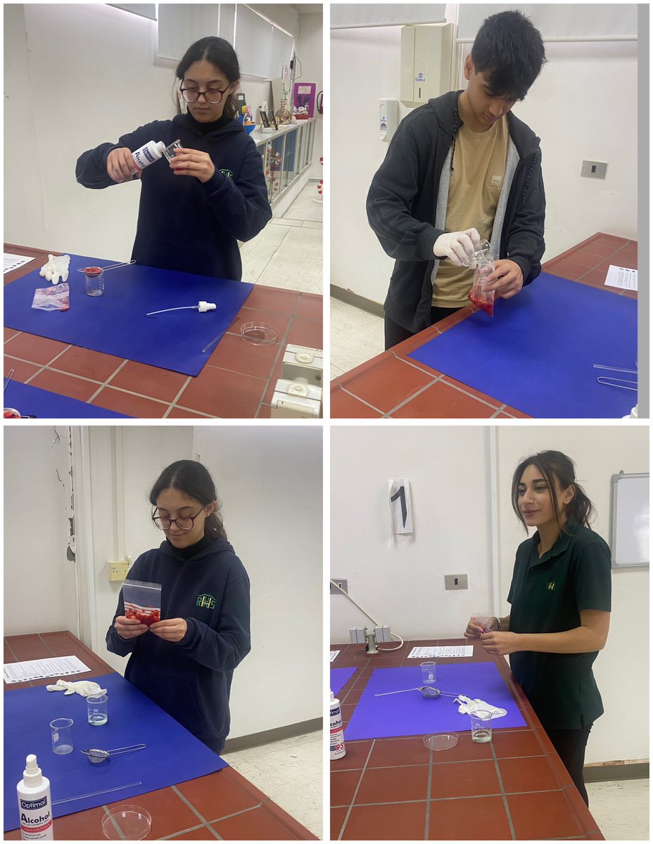 RHHS_BioDept's tweet photo. Enjoying the DNA extraction with the AP12 students @RHHS_Saida https://t.co/2pTbP9lkDh