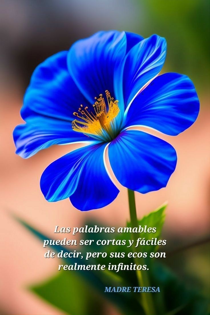 @jejoraffo @majodevivo @PonsRicardo @jecoste @FedericoHeuer @Alma49008929 @nestorgrajales @sylkbor @UyPaTodoElMundo @fcukierman Buen día Alejandro y barra
Madrugadora,
Gracias por el Saludo, y un beso al cielo para los que la llevamos en nuestro corazón.
Feliz Domingo para,todos
#HagamosHistoria