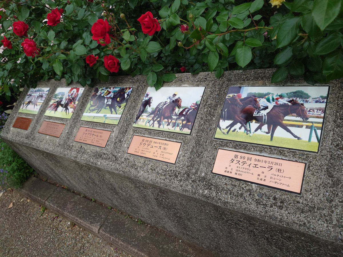 「東京競馬場のバラ園は今年も綺麗に咲いてました。歴代ダービー馬の石碑にタスティエー」|びょんのイラスト