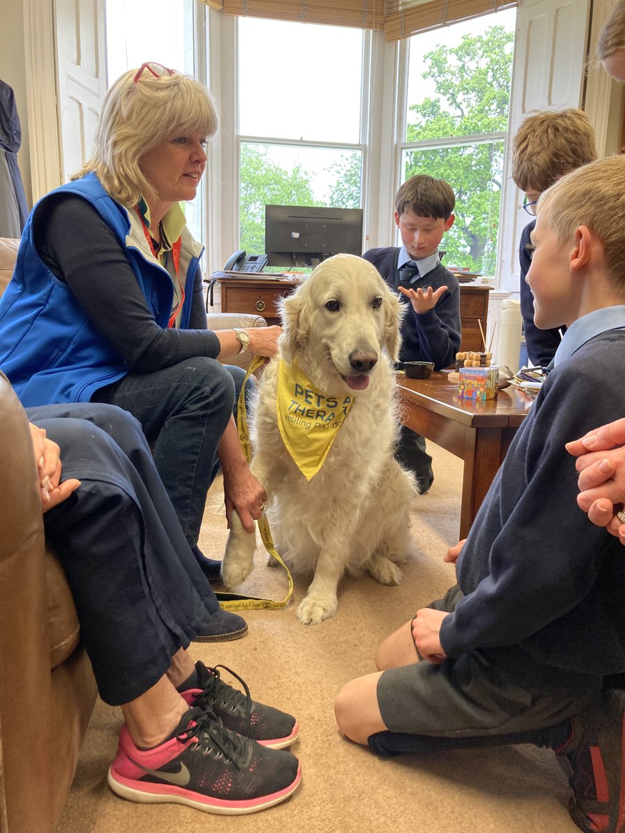 Therapy dog Jasmine enjoyed her first visit to RGS The Grange last week. Jasmine will visit every Thursday to work with a range of children across different year groups. #RGSTheGrange #RGSFamilyOfSchools #Education #therapydog
