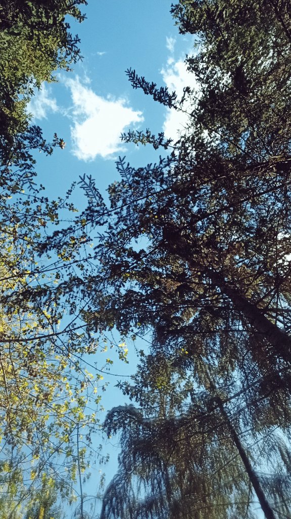 Gm gm dears 🌞
I love warm weather, but it's a pity that it's almost impossible to draw in such conditions 😅

Have a great Sunday, friends ♥