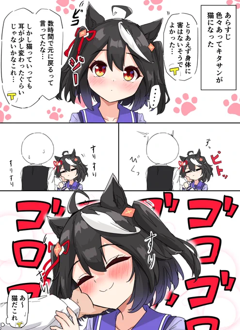 キタにゃんブラック 