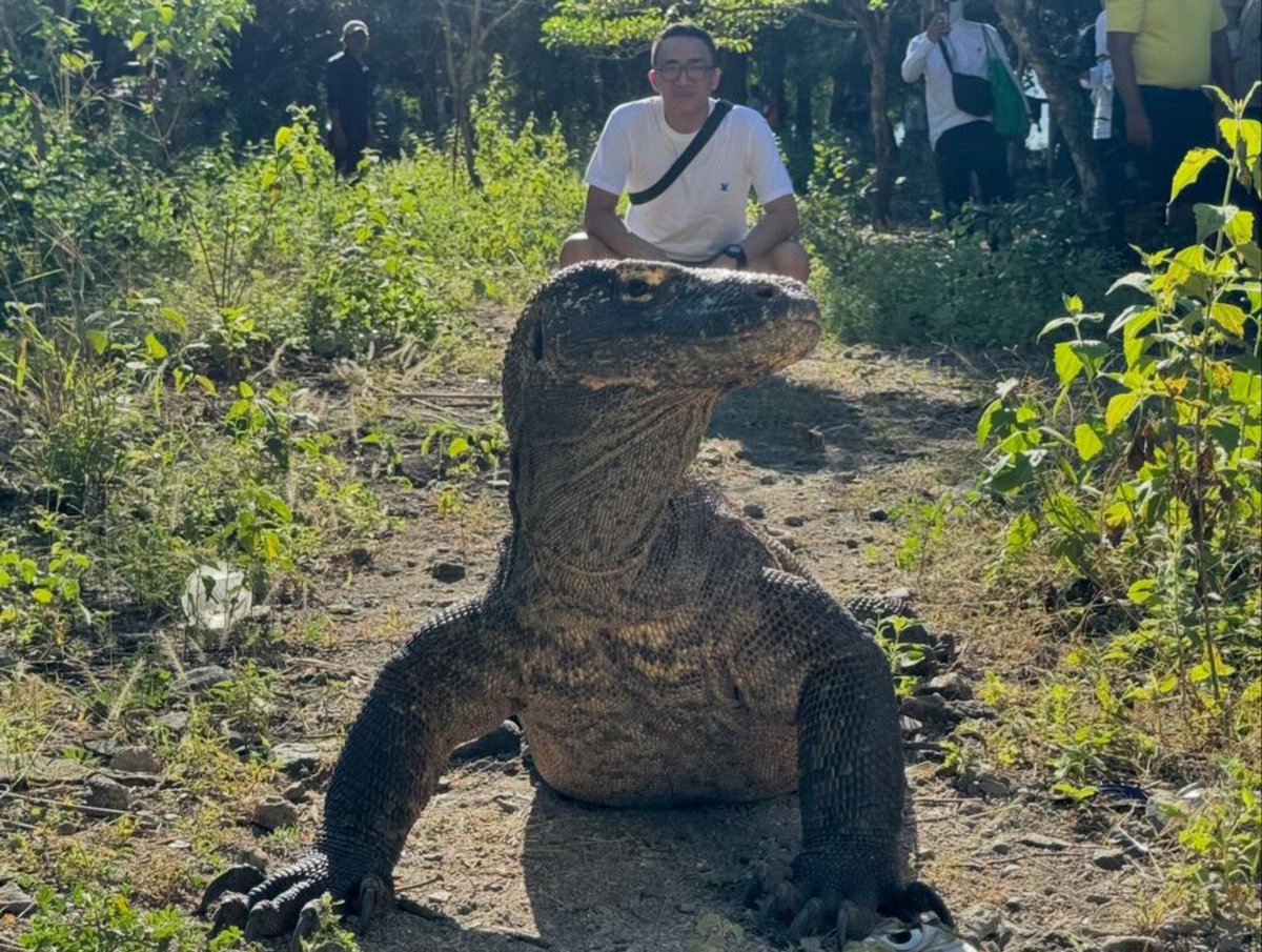 Banbi89095659's tweet photo. yossynatalius IG
・・・
Workcation and another one checked off my bucket list. Thank you God 🙏🏻 #JiChangWook #BlendCompany #Traveloka #SpringCompany #Bali #LabuanBajo #AyanaKomodo #KomodoIsland #PadarIsland #PinkBeach #EastCruiseKomodo #KalongIsland #AyanaLakoSae https://t.co/KzJ2vdET4P