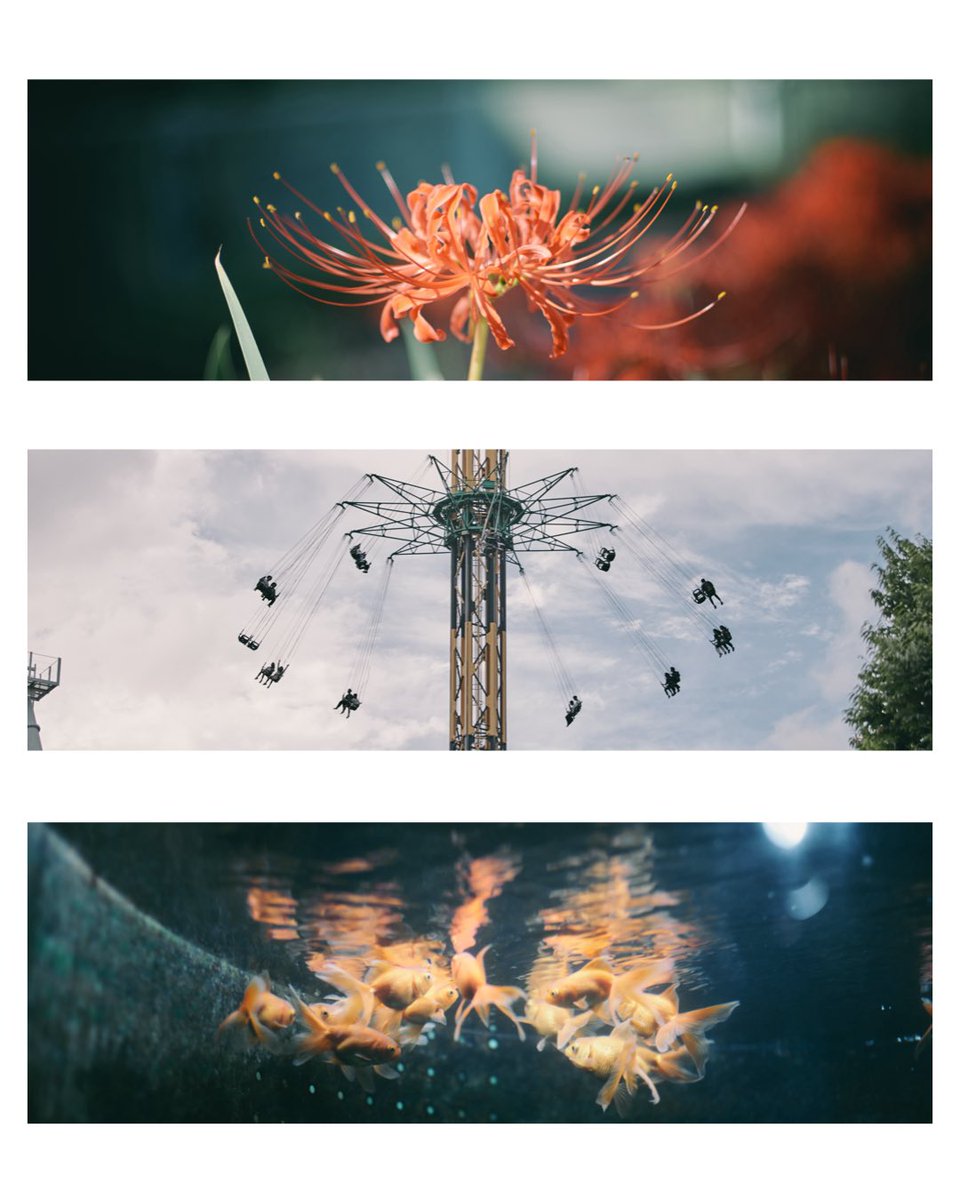 Q (@q_photograph) on Twitter photo 