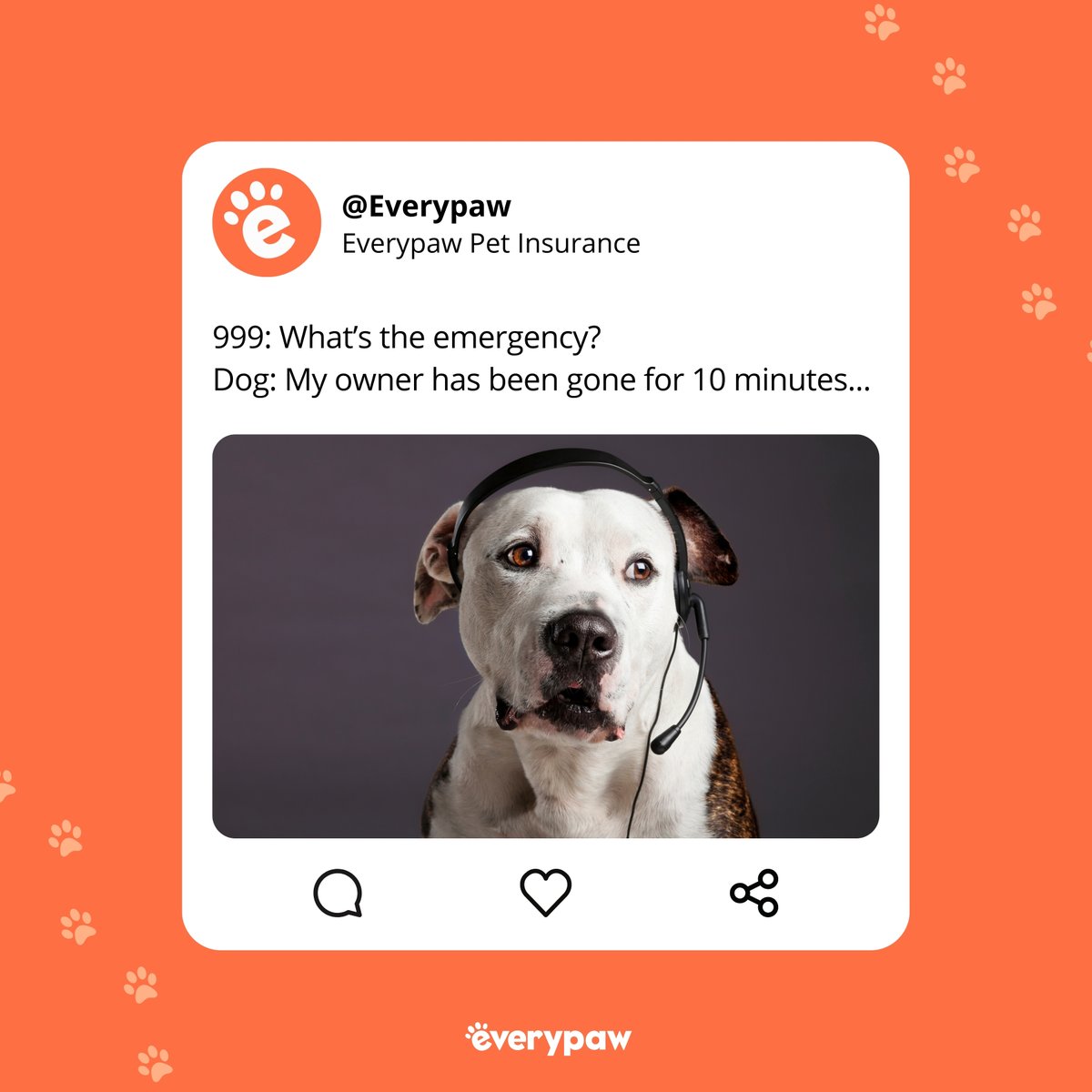 Dialing 999 for a canine crisis: 'Emergency? My human's been gone for 10 minutes!' 🐾🚨 

Time to sound the paw-patrol alarm! 🐶😄 

#Furry911 #DoggyDistress #dogowner #doggomeme #dogmeme #dogs #dogsdaily #lovedogs #funnydogs #everypaw #petinsurance #everypawuk