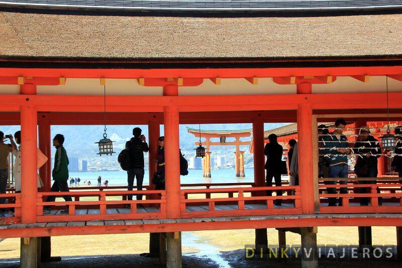 ¿Quieres pasear virtualmente entre ciervos, templos y santuarios en la isla de #Miyajima?⬇

dinkyviajeros.com/que-ver-en-miy…

#archivoDinky #Japón