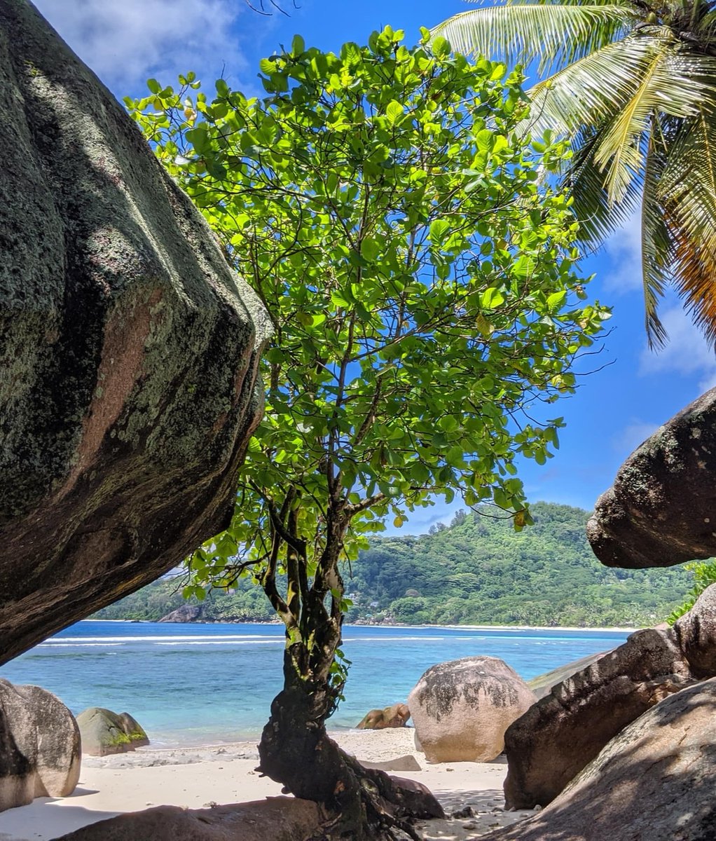 Destination....Seychelles

Sweeping beaches of sugar-fine sand, crystal-clear cerulean shores, gourmet dining on private beaches, it’s reasonable to expect that the Seychelles will give you total wish-you-were-here vibes. 

#Seychelles #Travel #TravelGuide