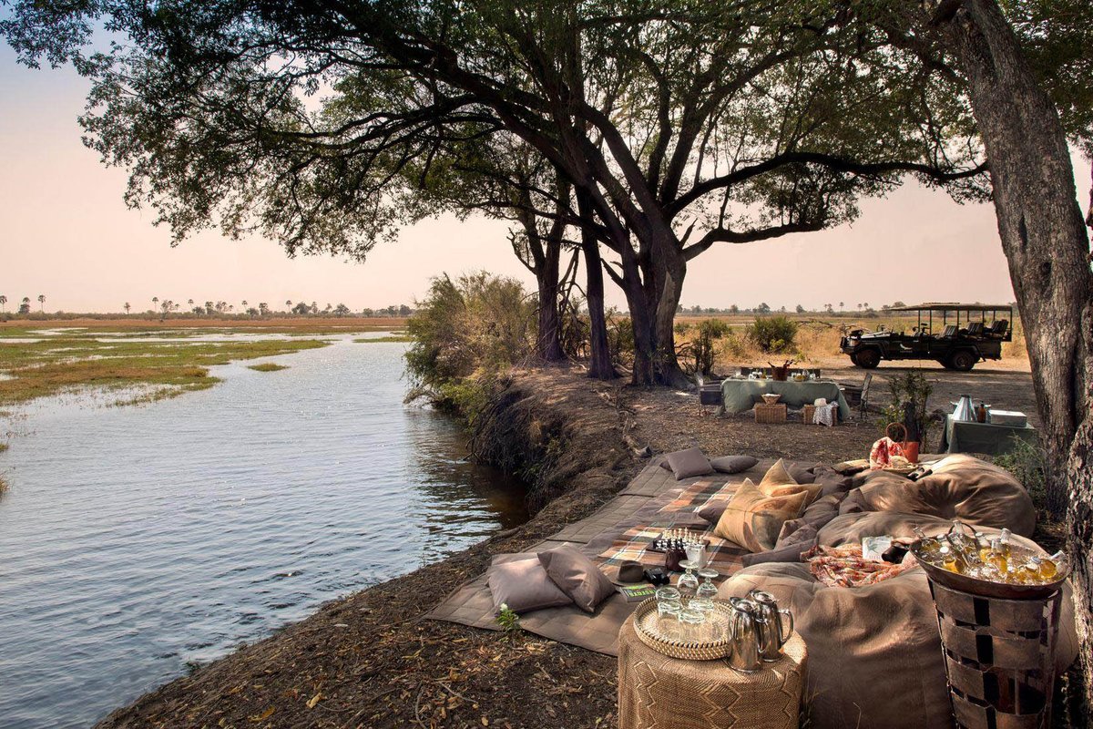 Unwind in a tranquil picnic spot during your morning game drive in the Okavango Delta, Botswana. 🥂 Experience the serenity of nature while indulging in delicious treats and soaking in the beauty of your surroundings. #UbuntuTravel #Botswana #LuxuryTravel #Safaris
