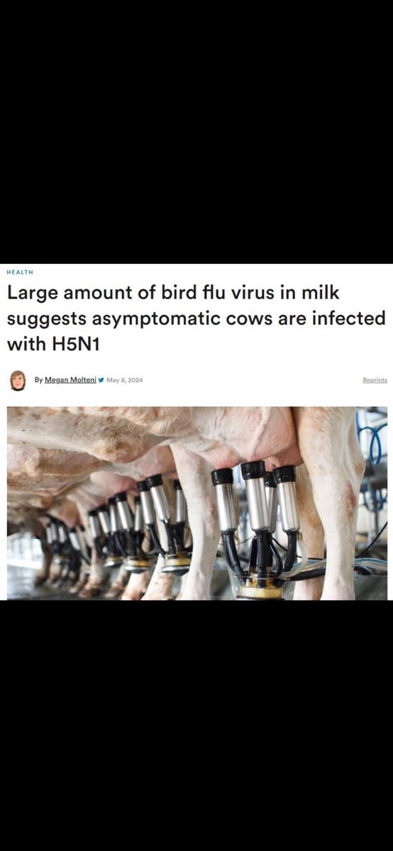 🚨🇺🇸 Quick - Someone Call Bill Gates Kill Cows ✅ Kill Birds ✅ Vaccinate Everyone & Everything ✅ Do you see where we’re heading with Bird Flu yet?