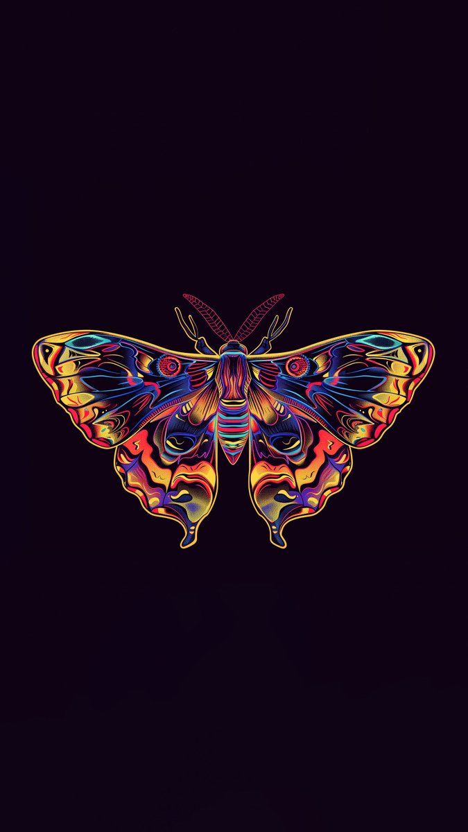 Image By: Aristal
#DownloadTheApp
bit.ly/HDWallpapersTw…
#butterfly #animal #colorful #insect #orange #SundayVibes #photooftheday #beautiful #amazing #awesome #HDWallpapers #wallpapers #Download