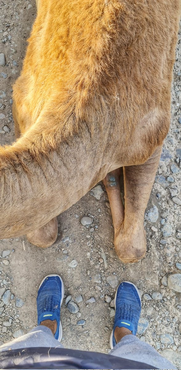 تمرين كارديو🏋‍♂️