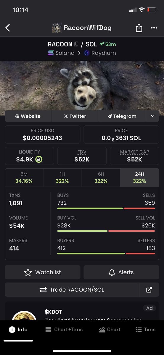 Chad bought 20% of supply and gonna burn good gamble play here $RACOON 👀
